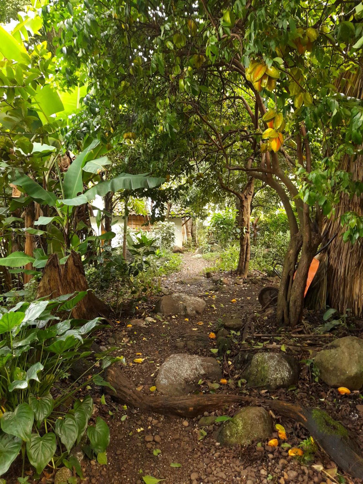 El Bamboo Cabins Balgue Exterior photo